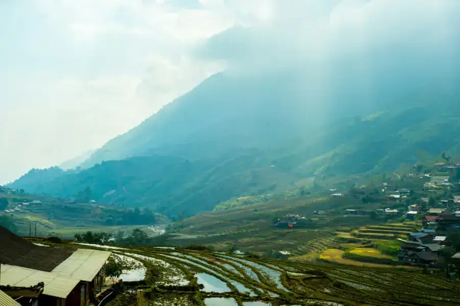 Sapa rice terraces at golden hour